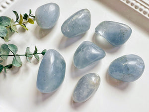 Celestite Polished Freeform Palm Stone