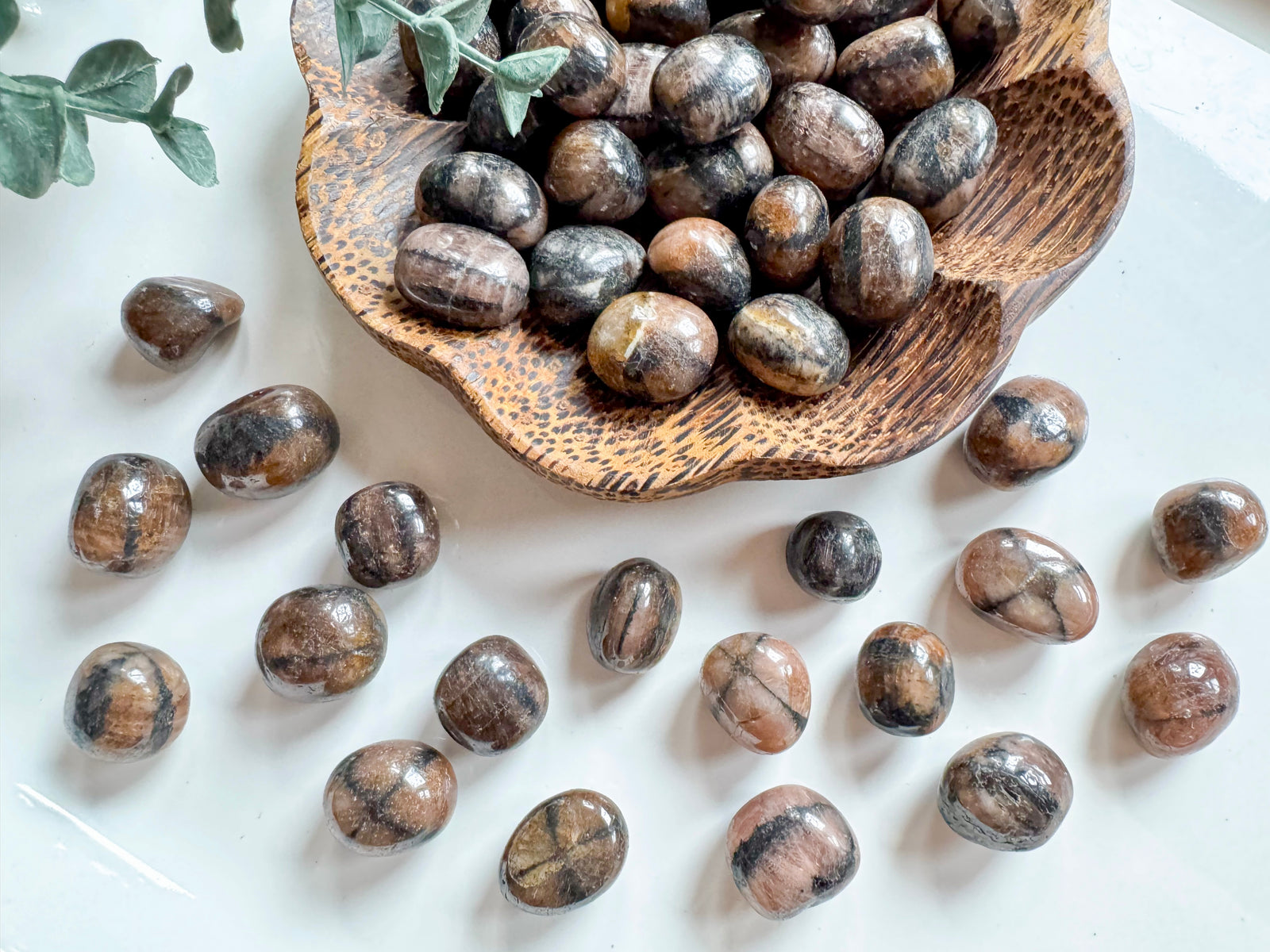 Chiastolite (Cross Stone) Tumbled Stones