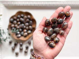 Chiastolite (Cross Stone) Tumbled Stones