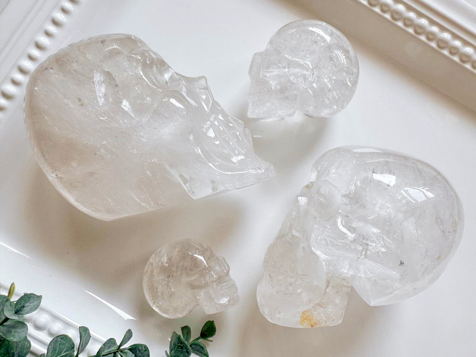 Clear Quartz Skull || Brazil