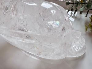 Clear Quartz Skull Traveler with Golden Healer || Brazil || Pitico