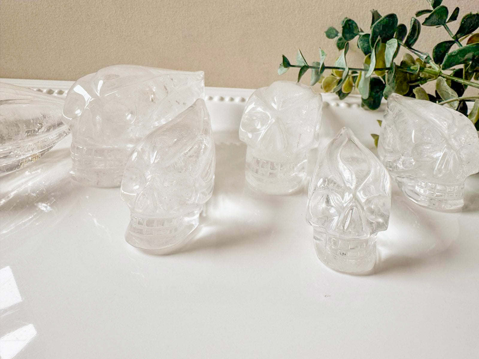 Clear Quartz Traveler Skull || Brazil