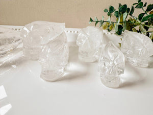 Clear Quartz Traveler Skull || Brazil