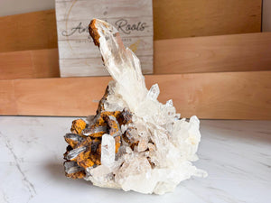 Colombian Lemurian Cluster || Showpiece