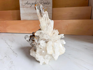 Colombian Lemurian Cluster || Showpiece