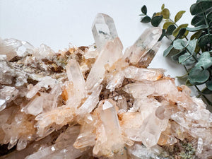 Colombian Lemurian Cluster || Showpiece