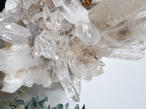 Colombian Lemurian Cluster || Showpiece