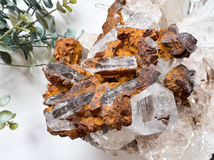 Colombian Lemurian Cluster || Showpiece