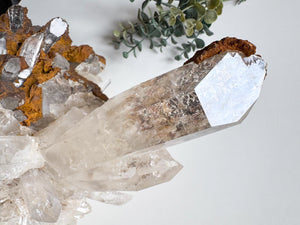 Colombian Lemurian Cluster || Showpiece