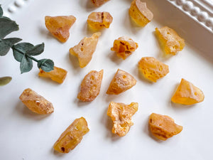 Copal Amber Raw & Drilled Tumbled Stone || Colombia