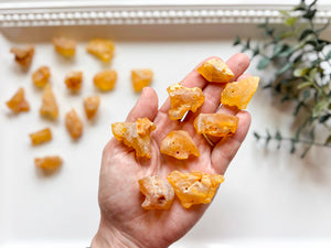 Copal Amber Raw & Drilled Tumbled Stone || Colombia