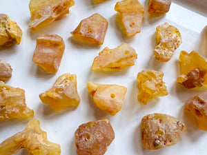 Copal Amber Raw & Drilled Tumbled Stone || Colombia