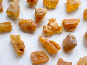 Copal Amber Raw & Drilled Tumbled Stone || Colombia