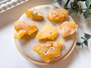 Copal Amber Raw & Drilled Tumbled Stone || Colombia