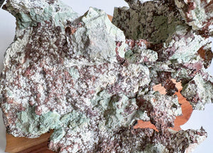Copper Specimen || Keweenaw Peninsula