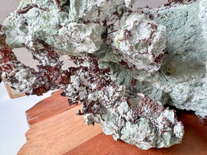 Copper Specimen || Keweenaw Peninsula