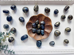 Covellite & Chalcopyrite Tumbled Stone || Shiny Finish