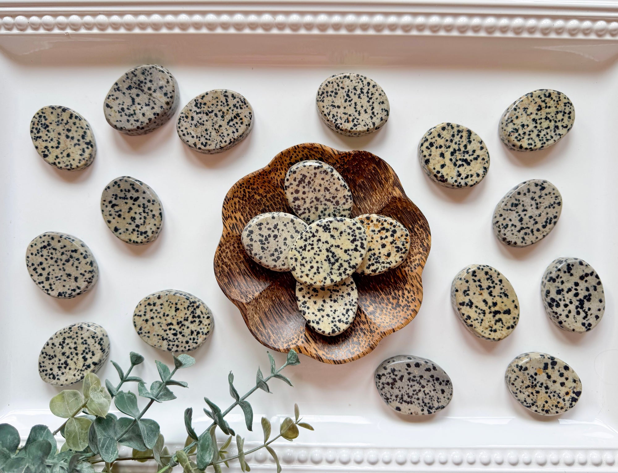 Dalmatian Jasper Flat Palm Stone

