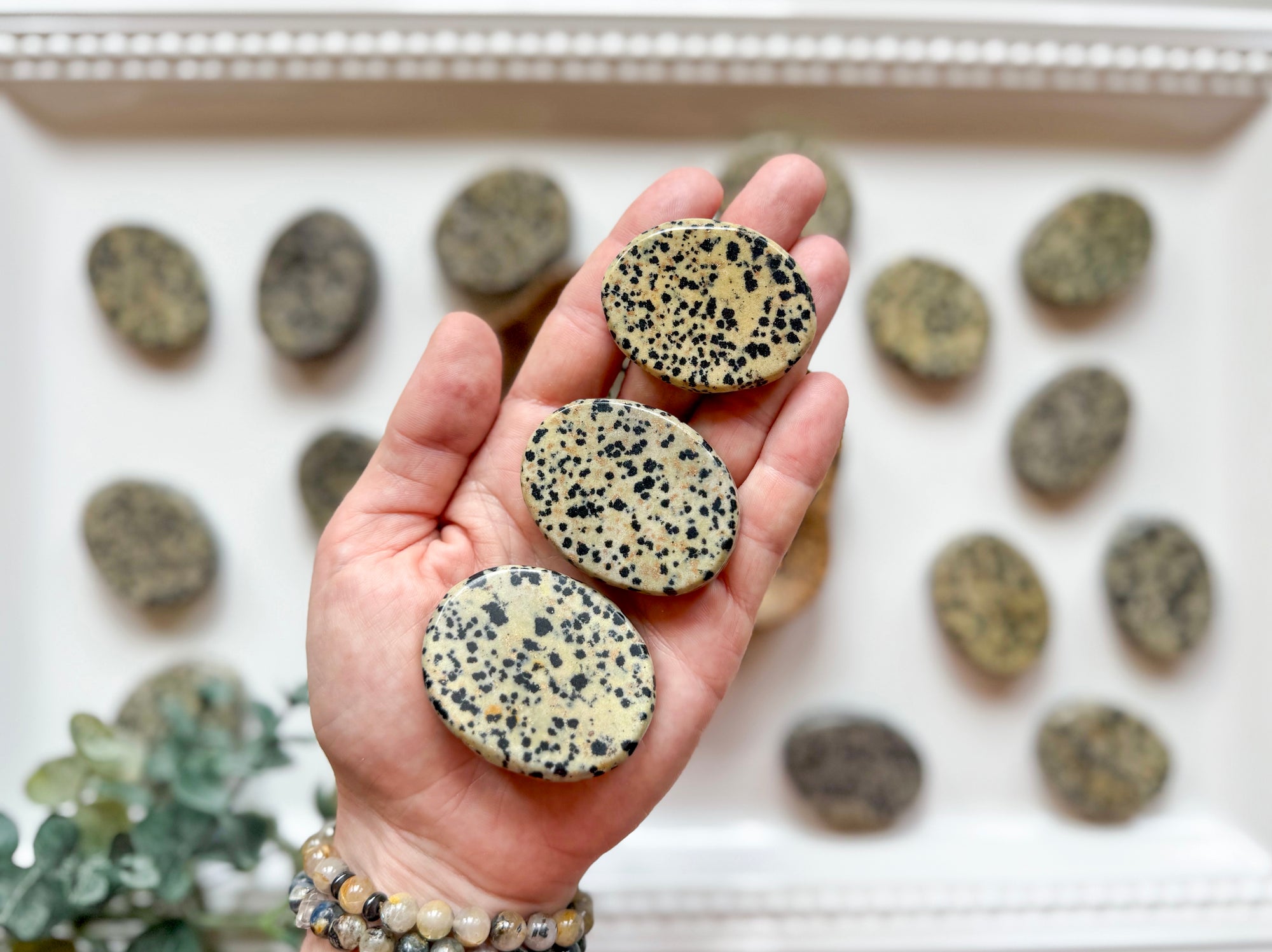 Dalmatian Jasper Flat Palm Stone
