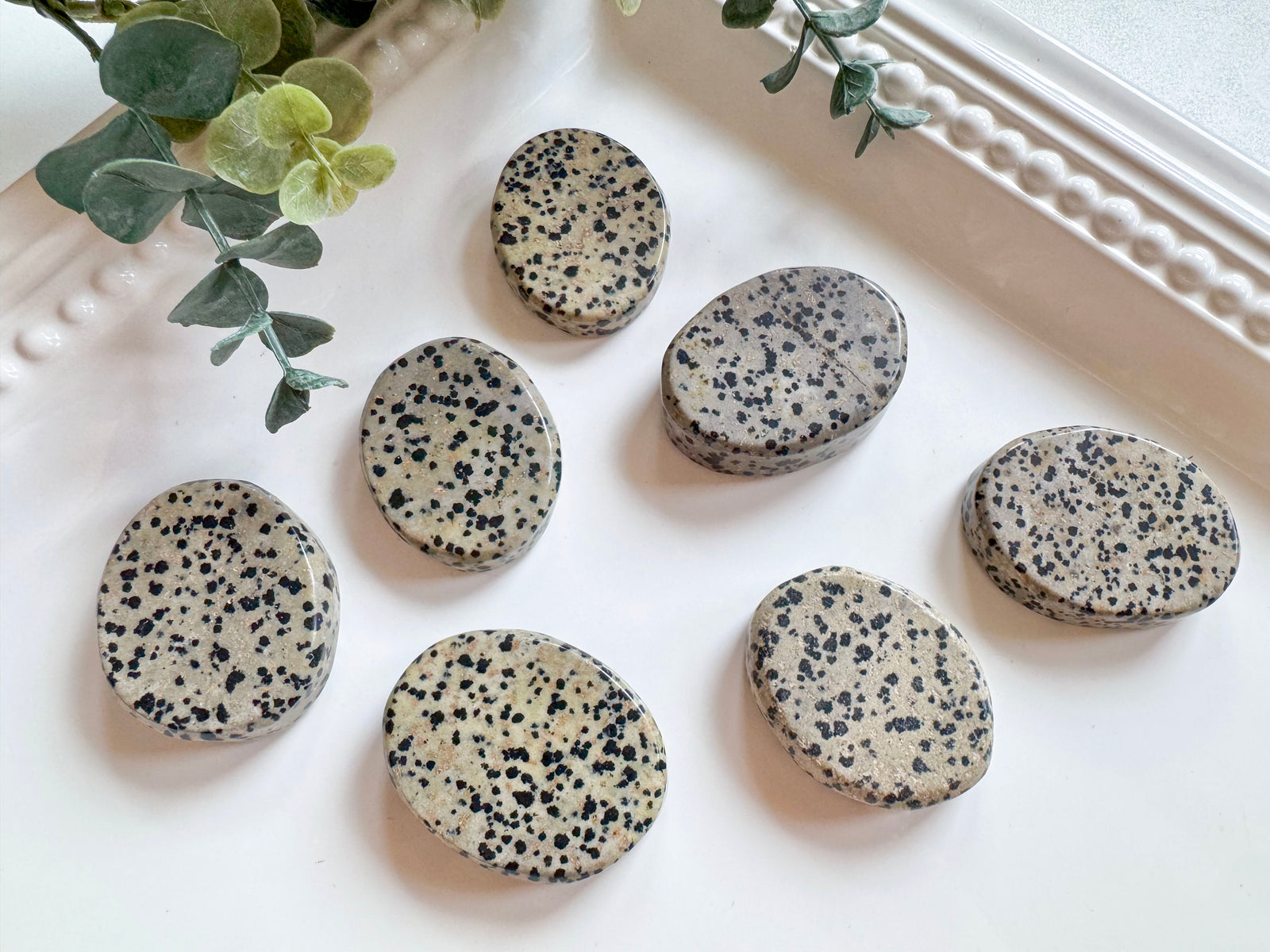 Dalmatian Jasper Flat Palm Stone
