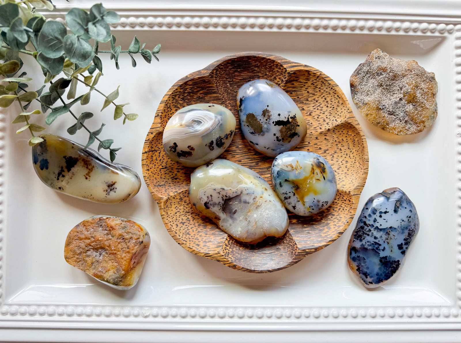 Dendritic Agate Raw & Polished Palm Stone