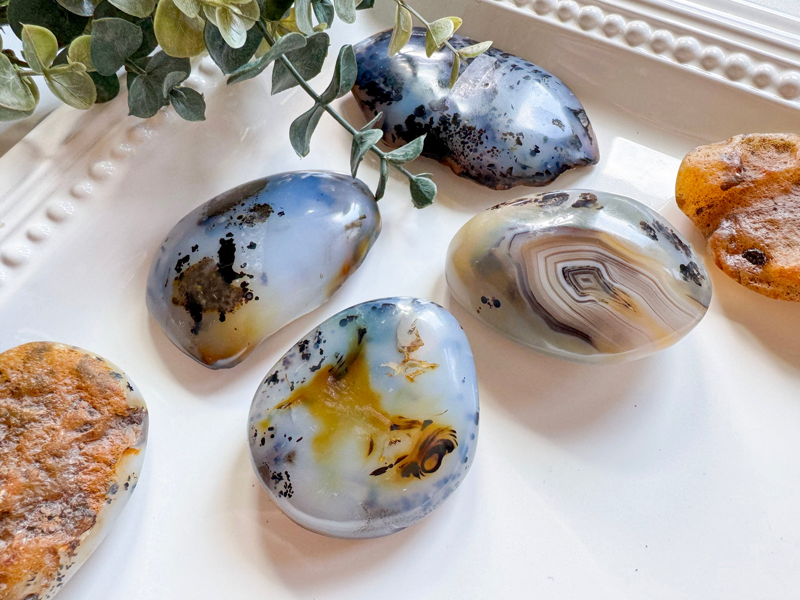 Dendritic Agate Raw & Polished Palm Stone