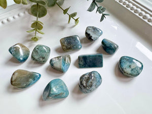 Dianite Tumbled Stones
