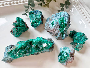 Dioptase Cluster || Congo