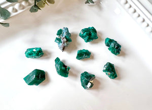 Dioptase Cluster || Congo
