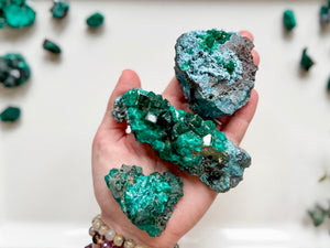 Dioptase Cluster || Congo