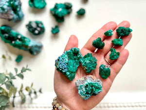 Dioptase Cluster || Congo