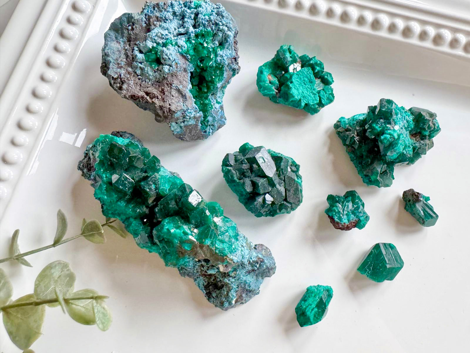 Dioptase Cluster || Congo