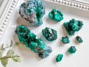 Dioptase Cluster || Congo