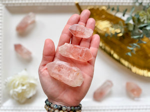 Dreamsicle Lemurian Points || Brazil