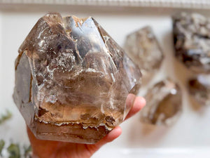 Elestial Quartz Raw & Polished Point || Brazil