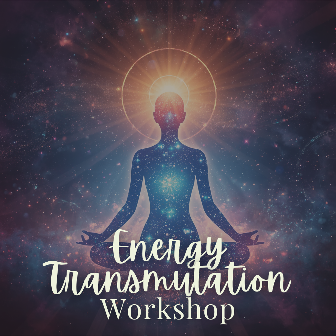 Energy Transmutation Workshop - Sunday, July 12 1pm-3pm