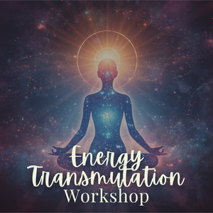 Energy Transmutation Workshop - Sunday, July 12 1pm-3pm