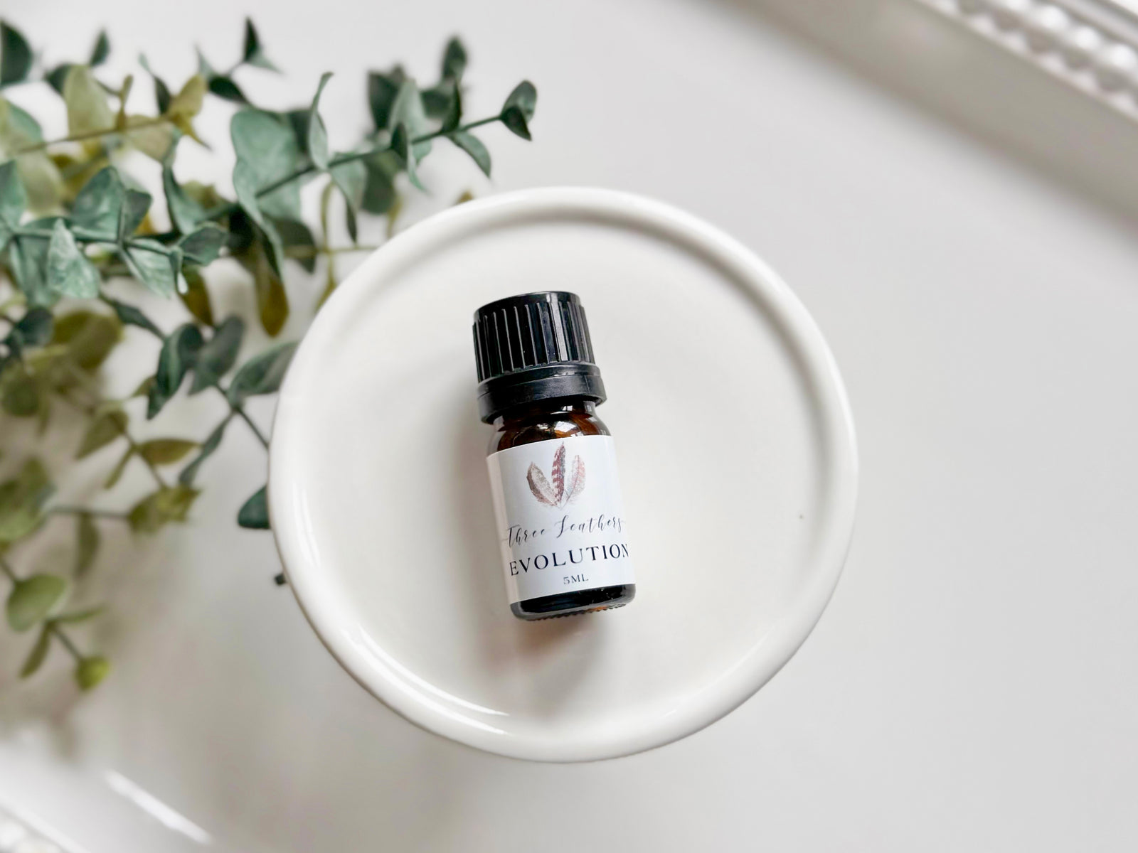 Evolution Oil Blend 5ml