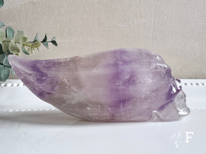 Phantom Amethyst Traveler Skull || Brazil || Pitico