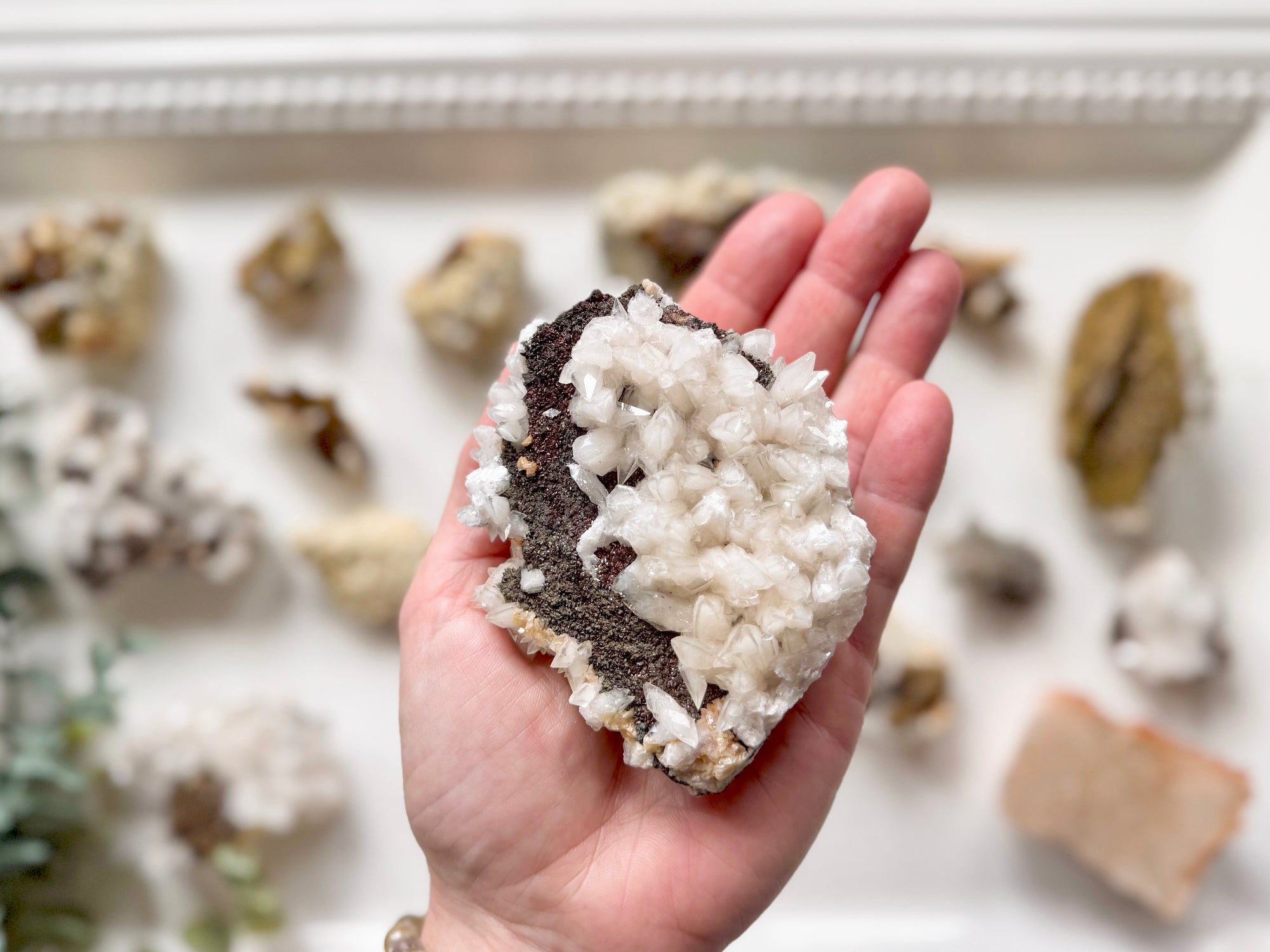 Feather Angel Wing Calcite with Iron & Pyrite || Hubei, China