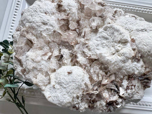 Feldspar & Mica Mixed Specimens || Brazil