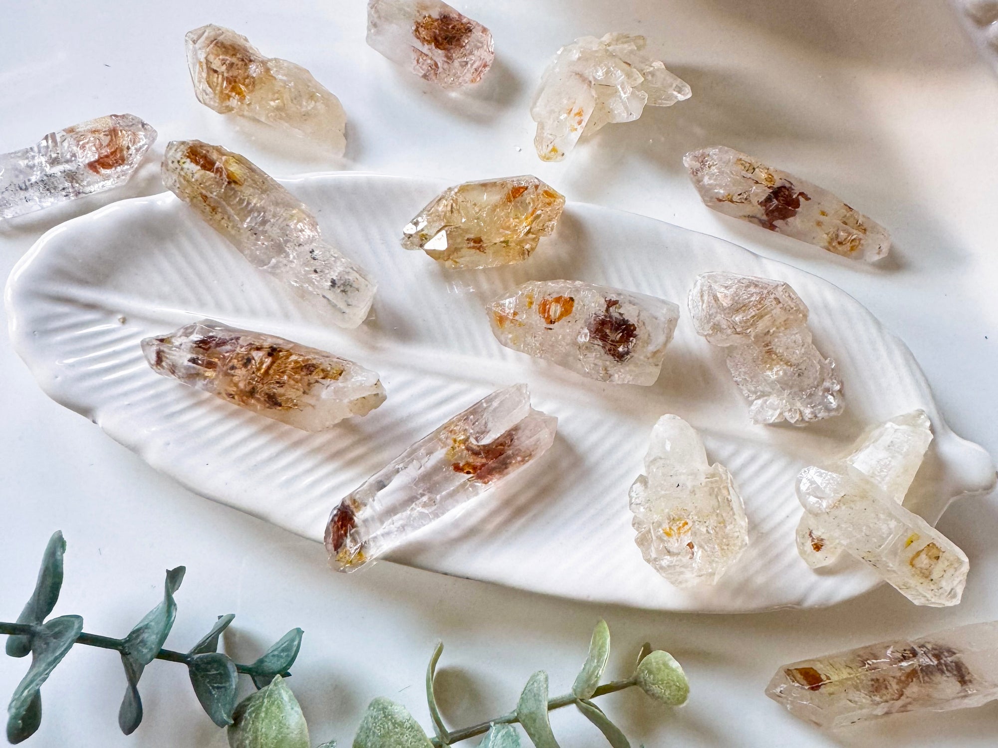 Firefly Petroleum Quartz || Mahajunga Province, Madagascar || UV Reactive!