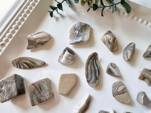 Flint Polished Pieces Grade A || Poland