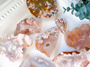 Flower Agate Raw & Polished Free Form Slab