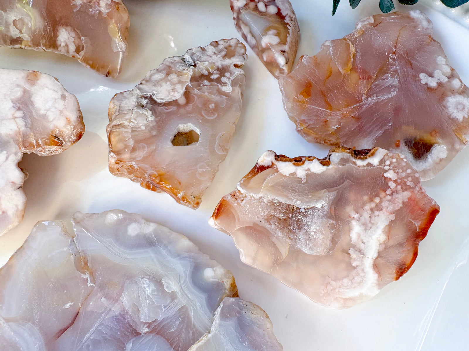 Flower Agate Raw & Polished Free Form Slab