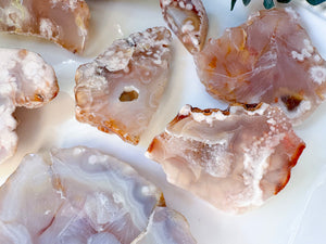 Flower Agate Raw & Polished Free Form Slab