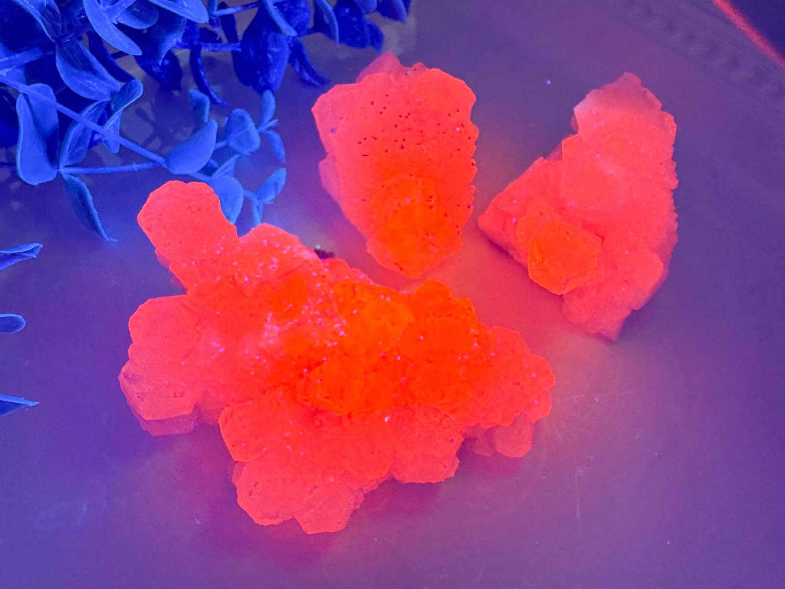 Fluorescent Calcite Specimens || Yaogangxian Mine, China