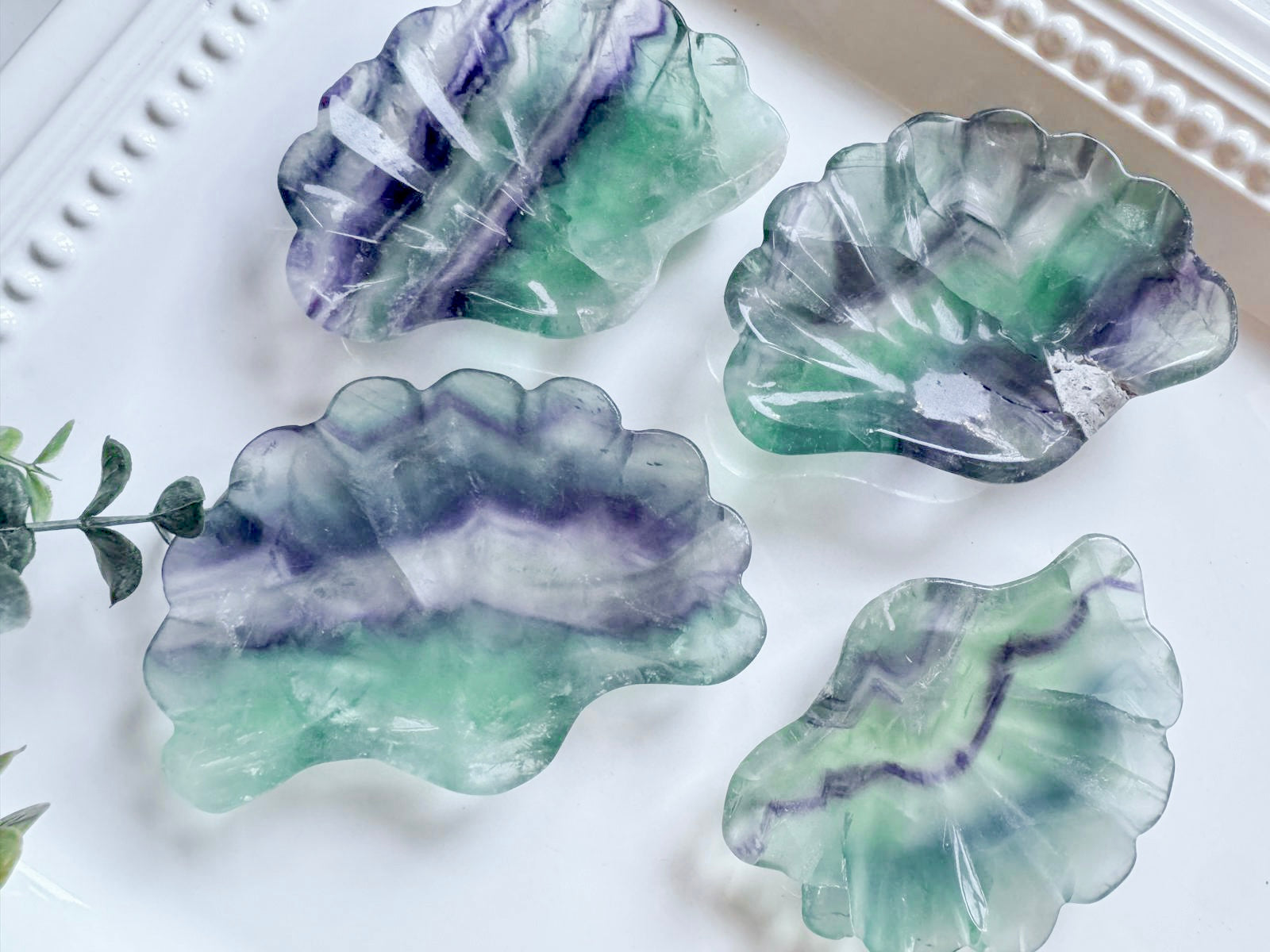 Fluorite Seashell Dish