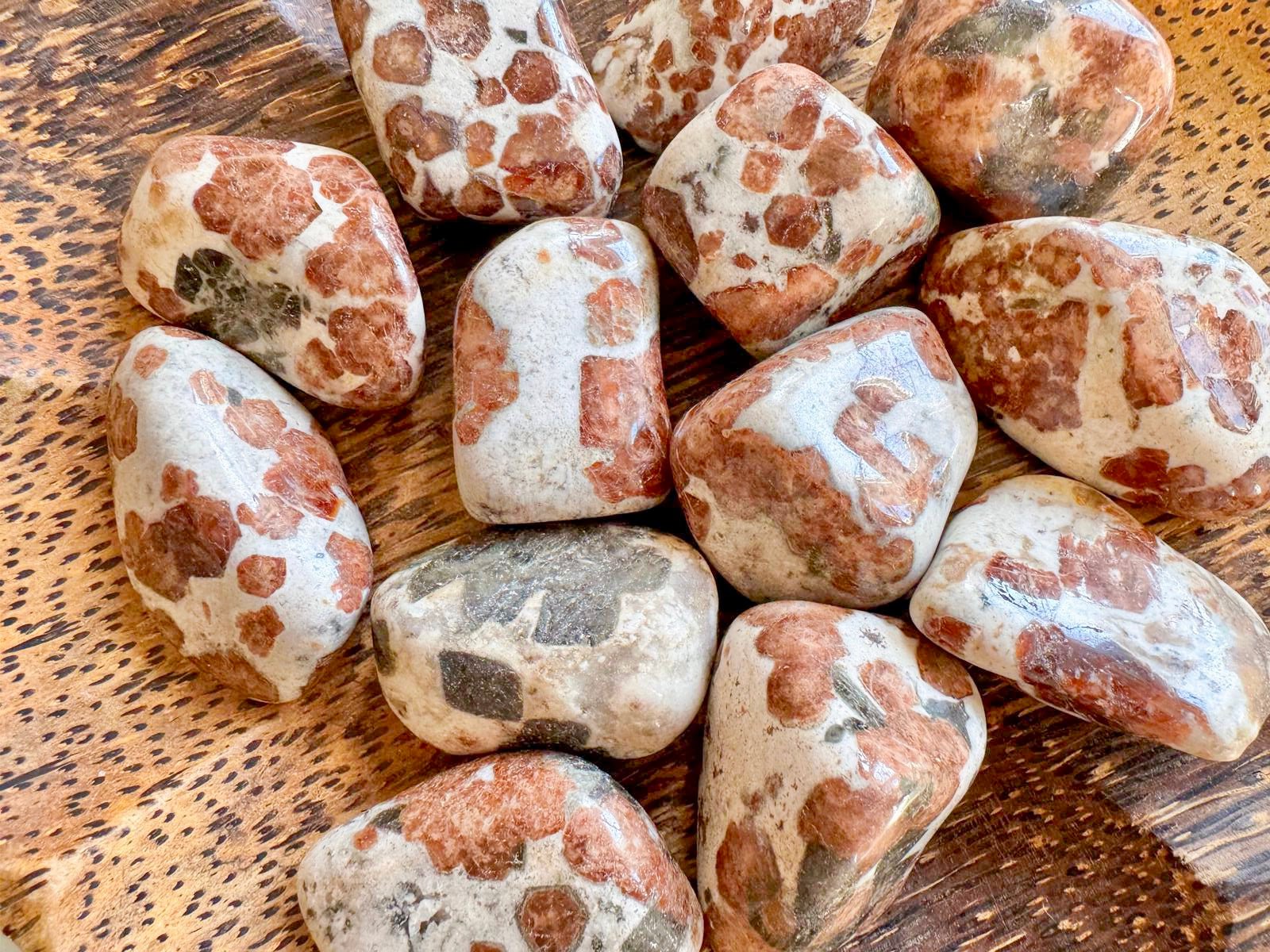 Garnet Wollastonite Tumbled Stone || Large