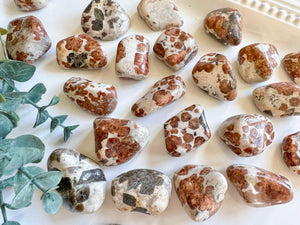 Garnet Wollastonite Tumbled Stone || Large